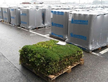 Mata wegetacyjna TUNDRA MATA Soprema